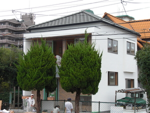 CIMG0733.JPG